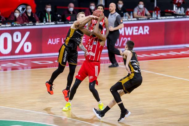 兰又迎来了 兰又迎来了